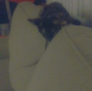 Meet your Posher, Melany